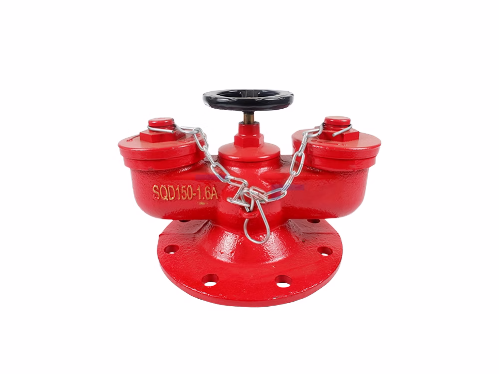 地下式新型水泵接合器 SQD100/150-1.6A